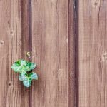 wood-482288_960_720