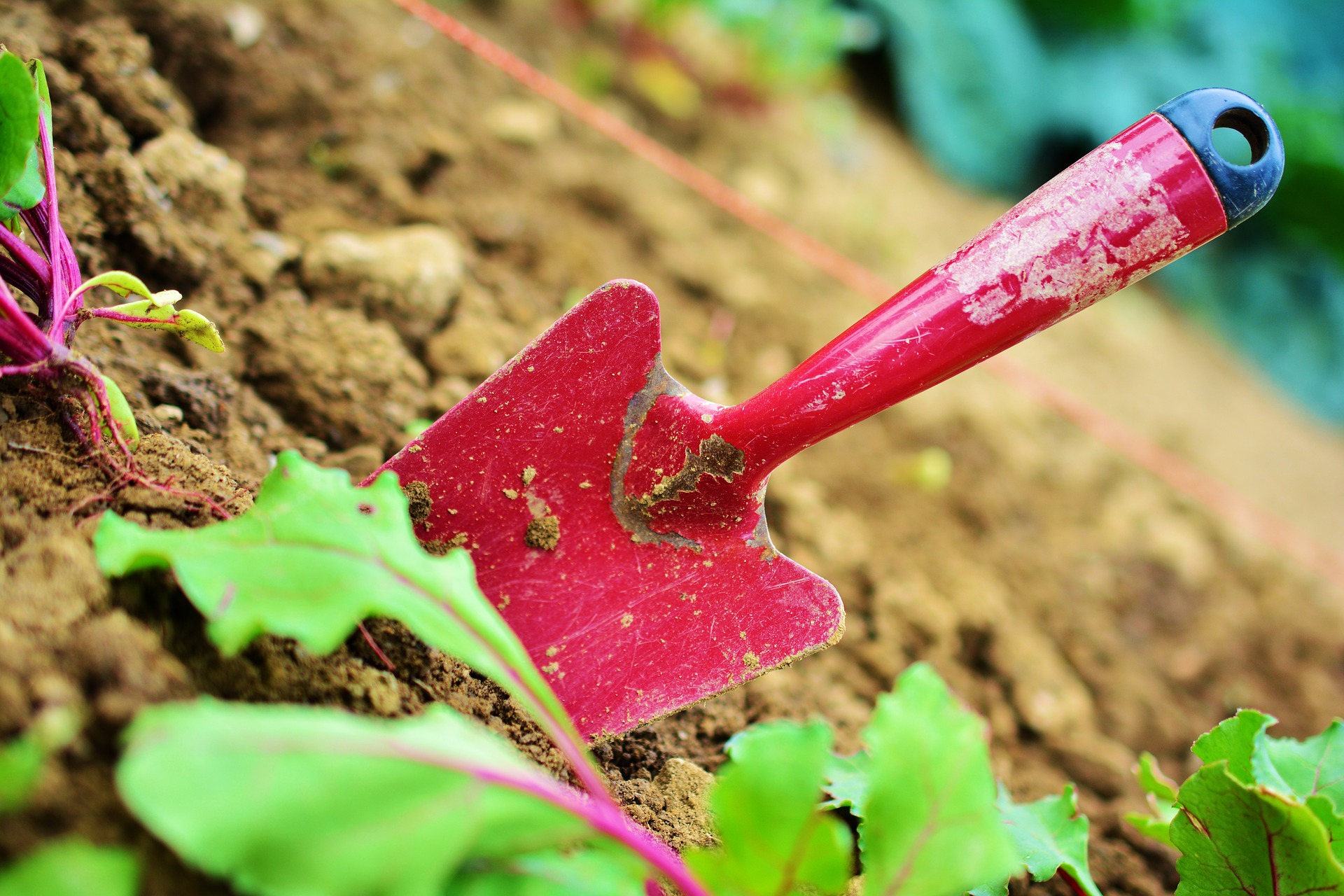 Quels sont les outils indispensables pour entretenir votre jardin ? outil jardinage