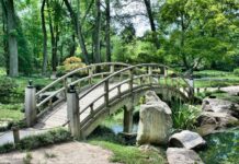 Les règles d’or pour un extérieur à l’ambiance contemporaine déco jardin végétaux