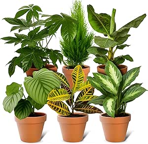 lot de pots de fleurs kit végétalisation
